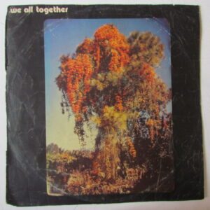 WE ALL TOGETHER 1 ORIG BEATLES BADFINGER PYSCH GARAGE POP PROGRESSIVE PERU HEAR ♫